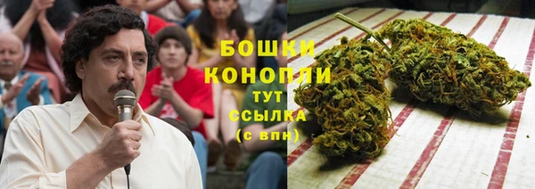 мдпв Бугульма