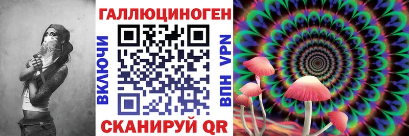 OMG ONION  Пушкино  Галлюциногенные грибы Cubensis 